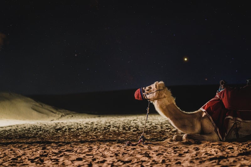 Dubai Desert, UAE